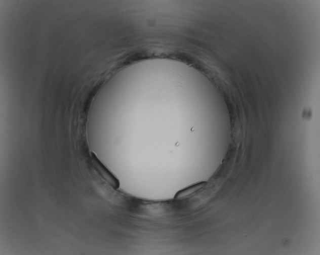 X0000093530417200710121153
