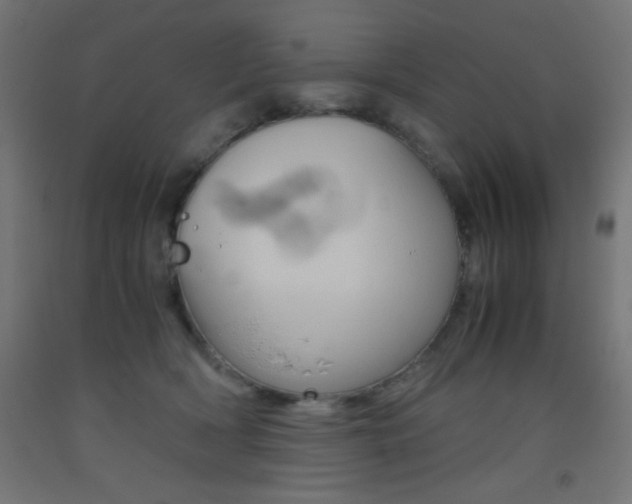 X0000093530418200710121153