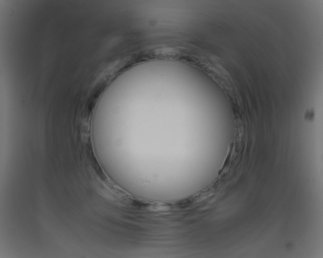 X0000093530419200710121153