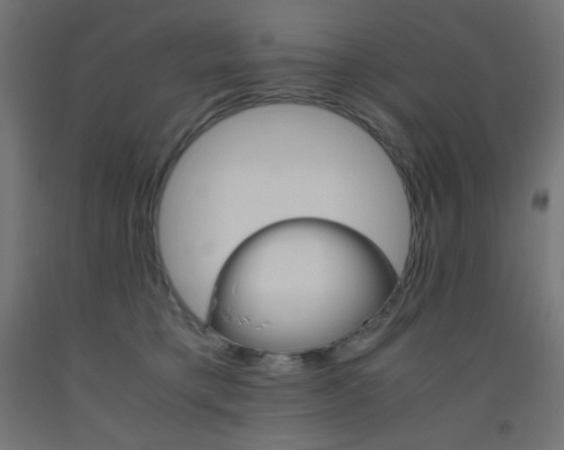 X0000093530421200710121153