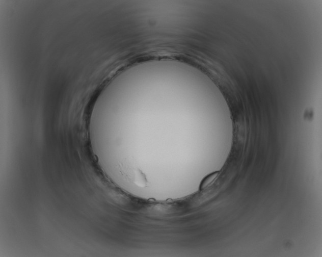 X0000093530422200710121153