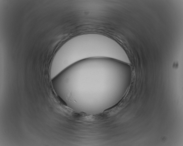 X0000093530423200710121153