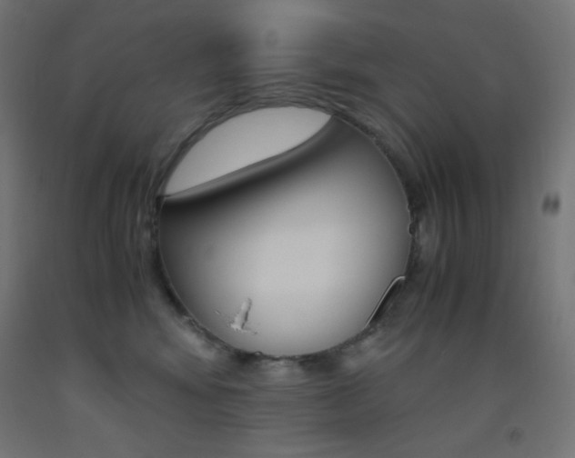 X0000093530424200710121153