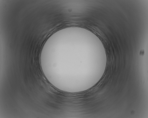 X0000093530425200710121153