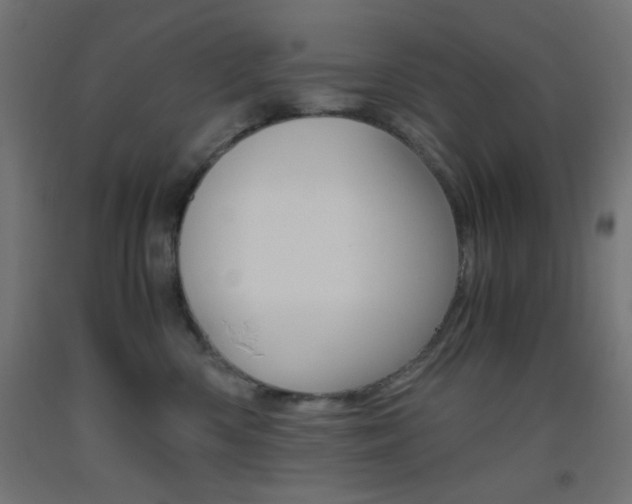 X0000093530426200710121153