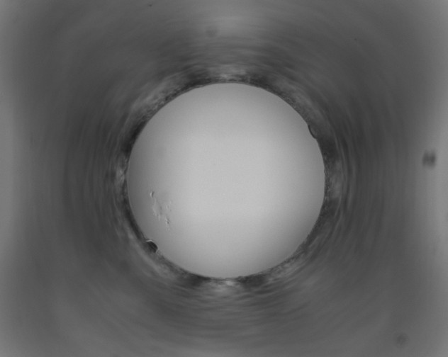 X0000093530427200710121153