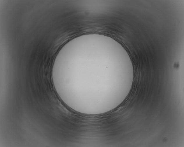 X0000093530428200710121153