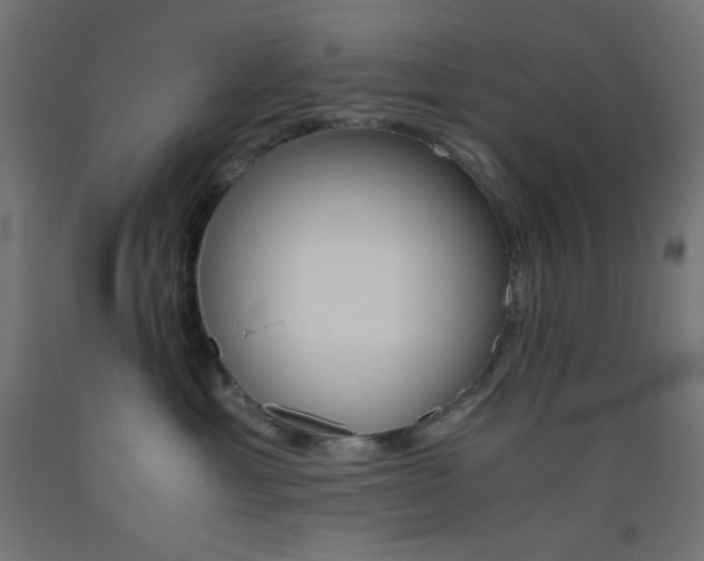 X0000093530429200710121153