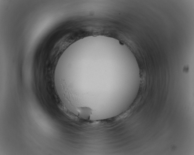 X0000093530430200710121153