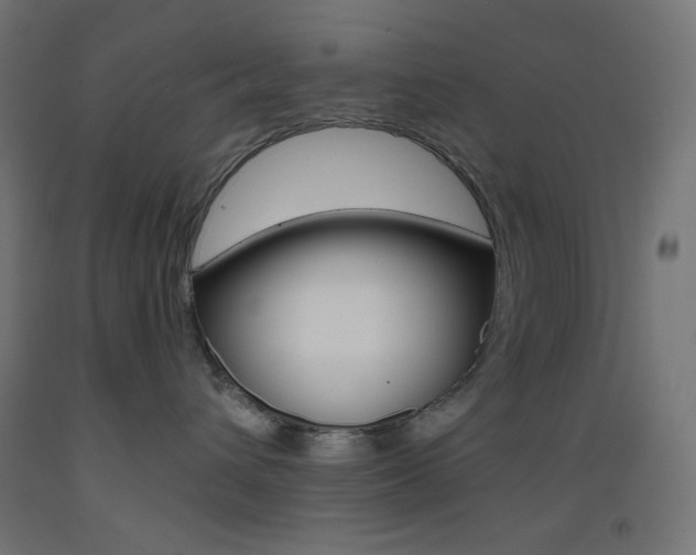 X0000093530432200710121153
