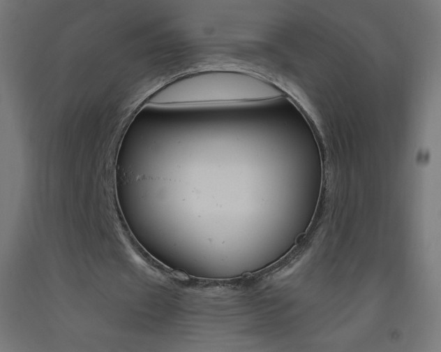 X0000093530433200710121152