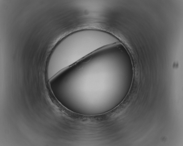 X0000093530434200710121152