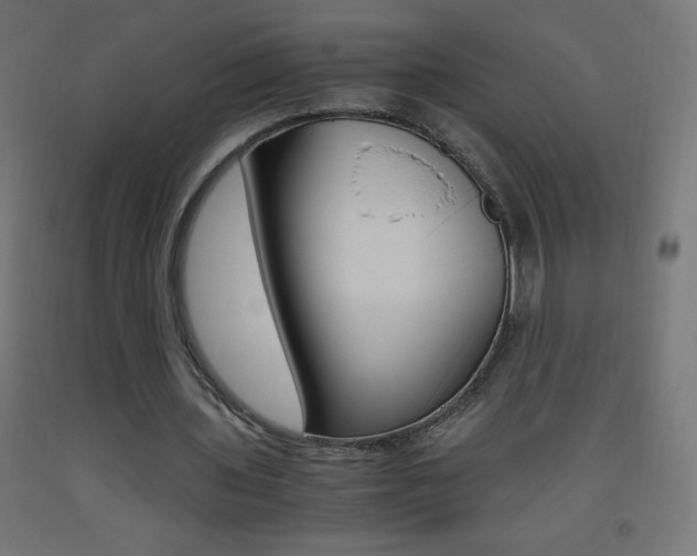 X0000093530435200710121152