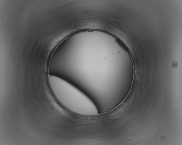 X0000093530437200710121152