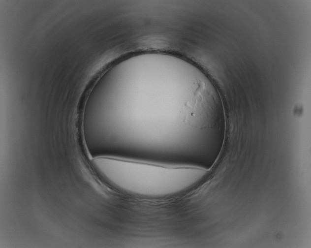 X0000093530439200710121152