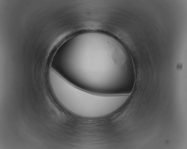 X0000093530440200710121152