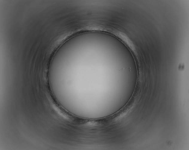 X0000093530441200710121152
