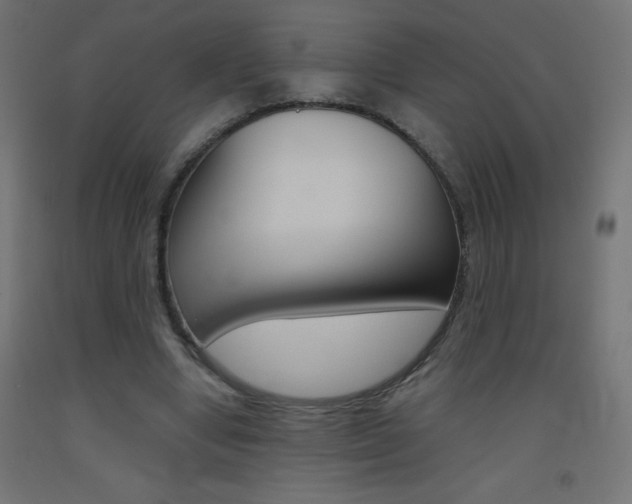 X0000093530442200710121152