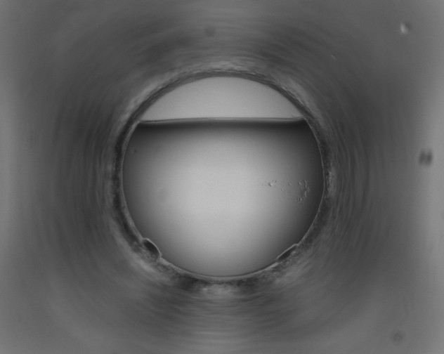 X0000093530444200710121152
