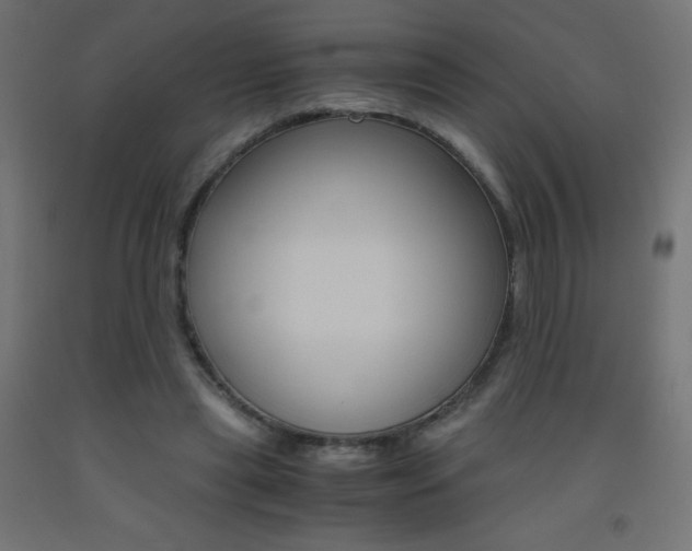 X0000093530445200710121152