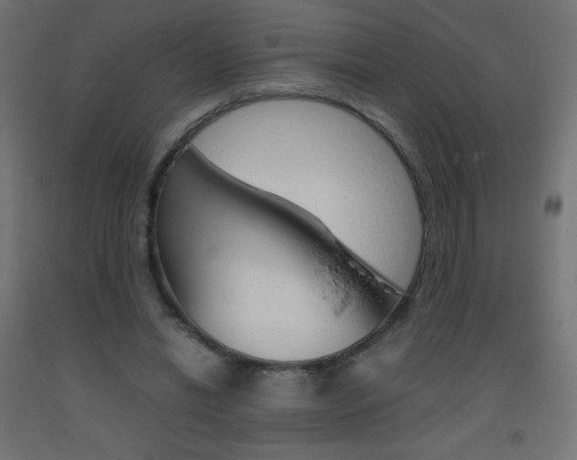 X0000093530446200710121152