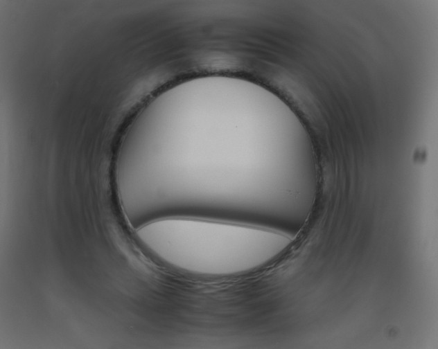 X0000093530447200710121152