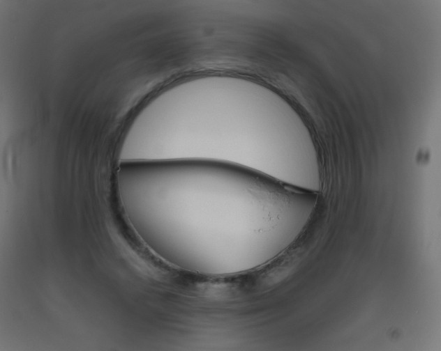 X0000093530448200710121152