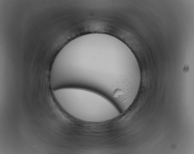 X0000093530449200710121152