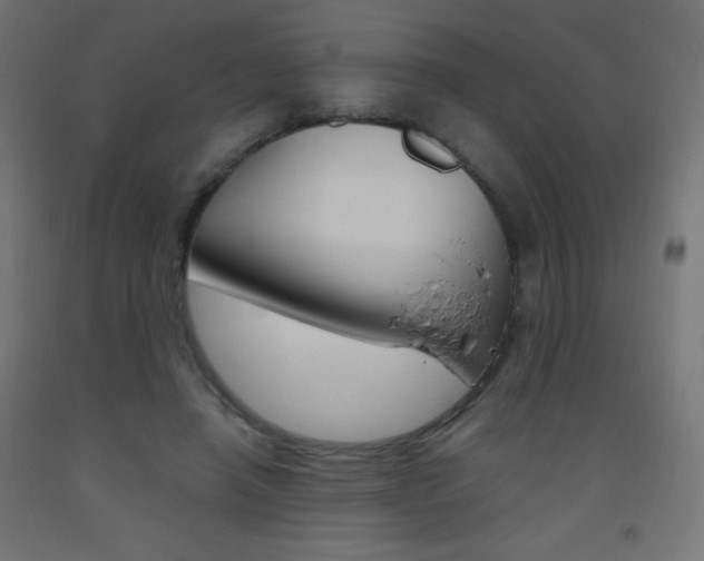 X0000093530450200710121152