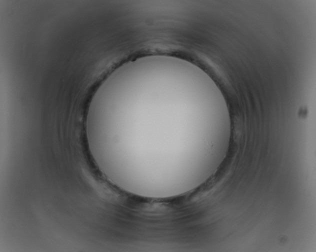 X0000093530451200710121152