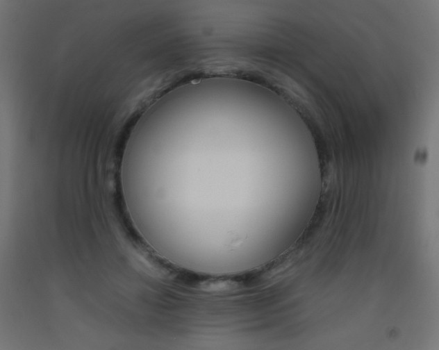 X0000093530452200710121152