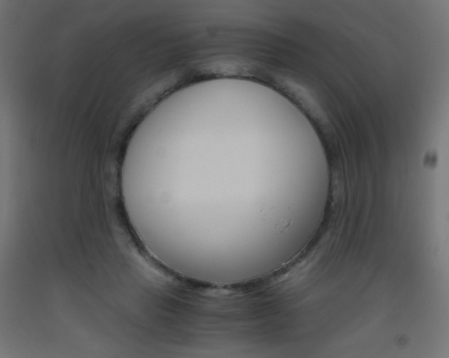 X0000093530453200710121152