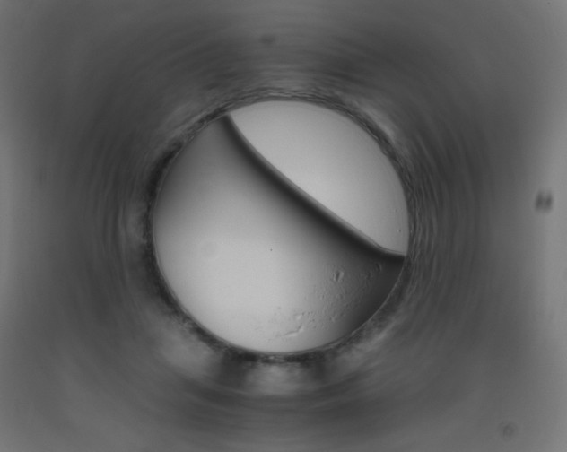 X0000093530455200710121152