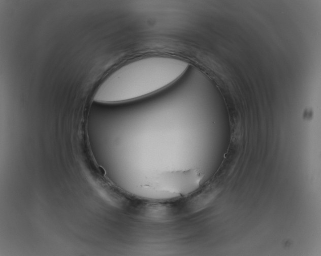 X0000093530456200710121153