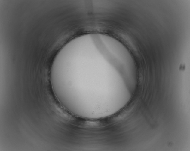 X0000093530457200710121153