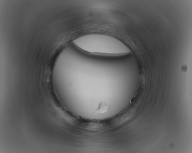 X0000093530458200710121153