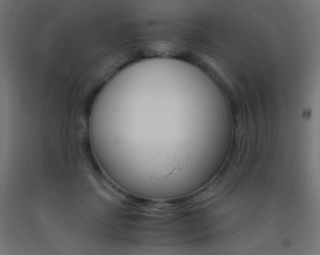 X0000093530459200710121153