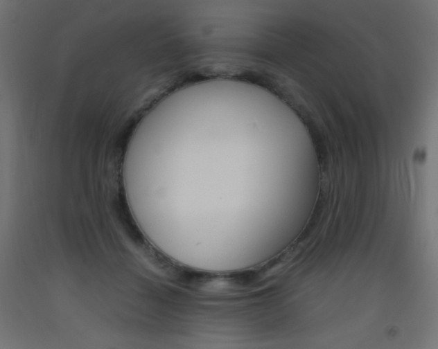 X0000093530460200710121153
