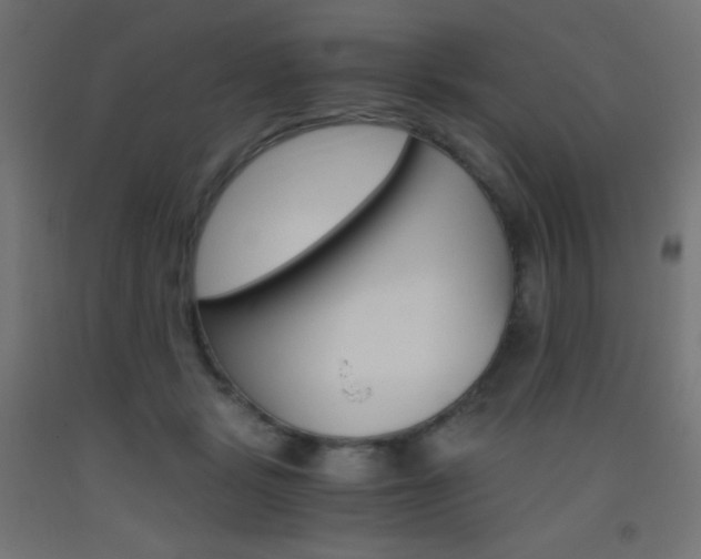 X0000093530461200710121153