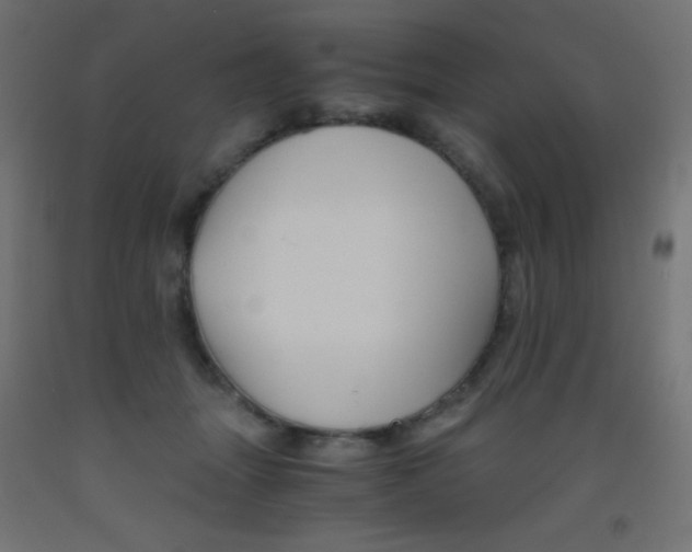 X0000093530463200710121153