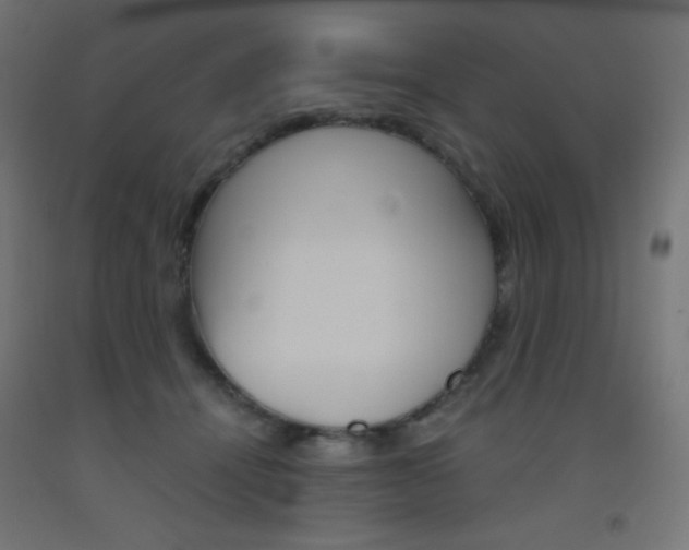 X0000093530464200710121153