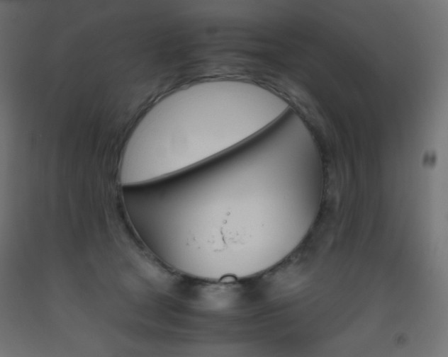 X0000093530465200710121153