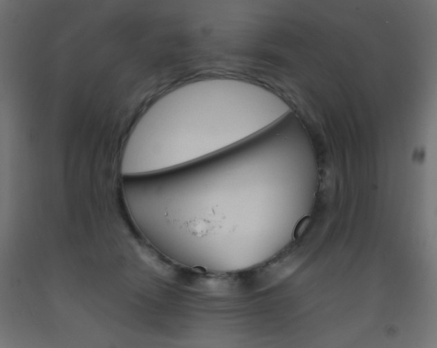 X0000093530466200710121153