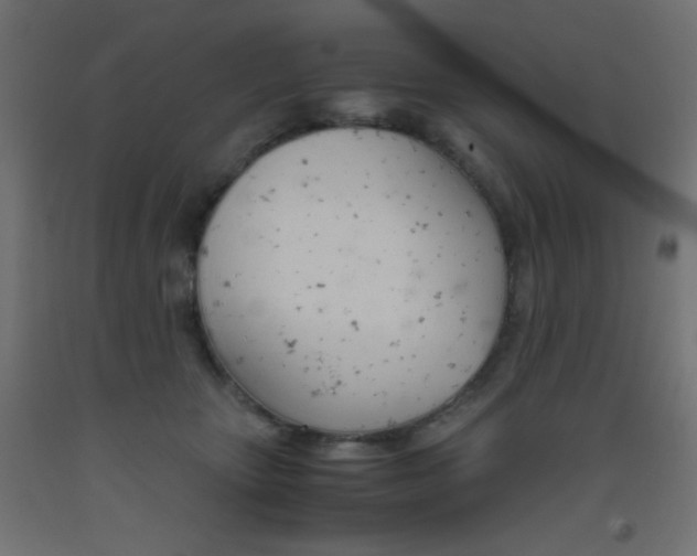 X0000093530467200710121153