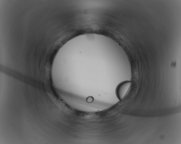 X0000093530468200710121153