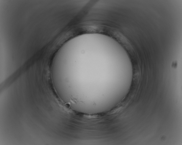 X0000093530469200710121153