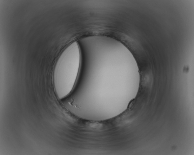 X0000093530471200710121153