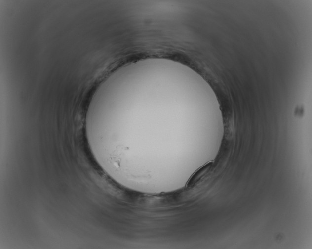 X0000093530472200710121153