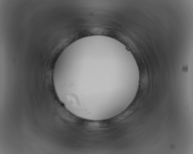 X0000093530473200710121153