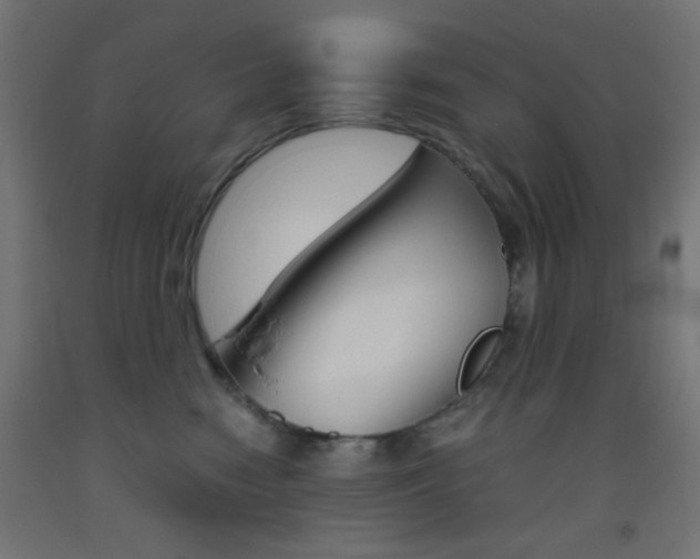 X0000093530474200710121153